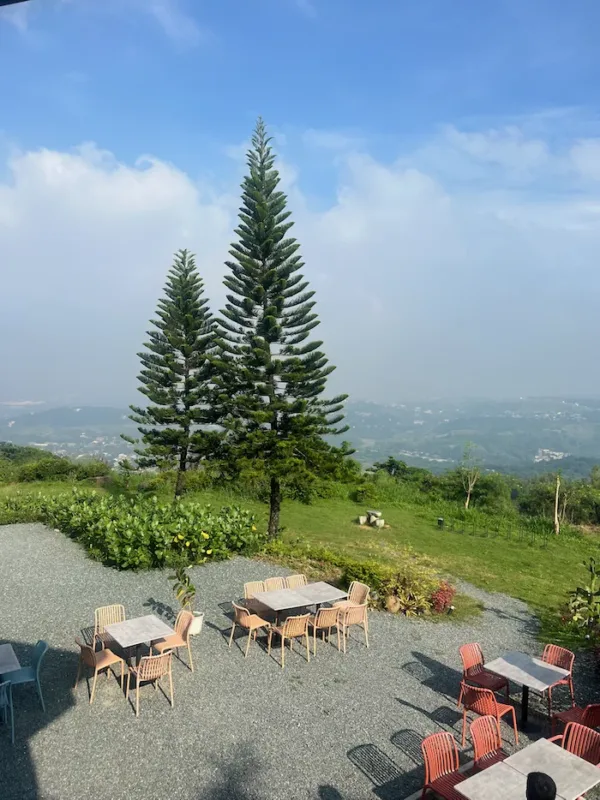 Cafe Giya pine trees overlooking Rizal